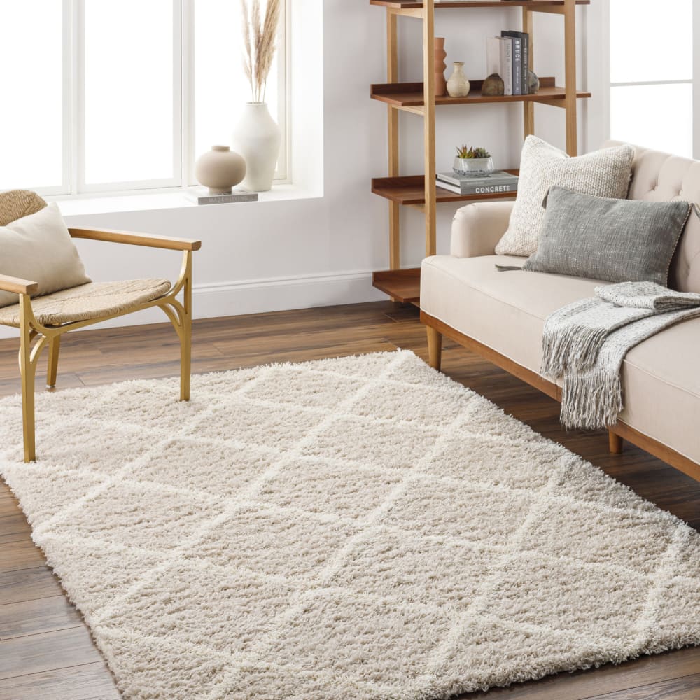 Tapis shaggy scandinave bohème blanc/beige 160x220 — vue 3