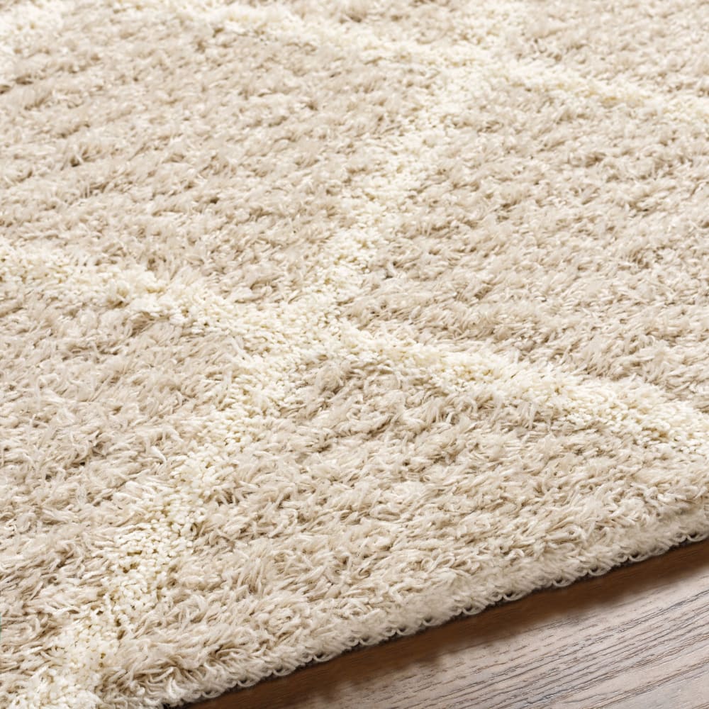 Tapis shaggy scandinave bohème blanc/beige 160x220 — vue 4