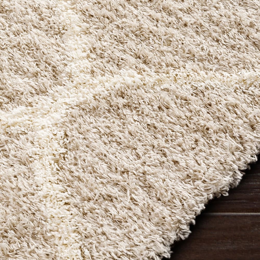 Tapis shaggy oriental blanc/beige 160x220 — vue 4
