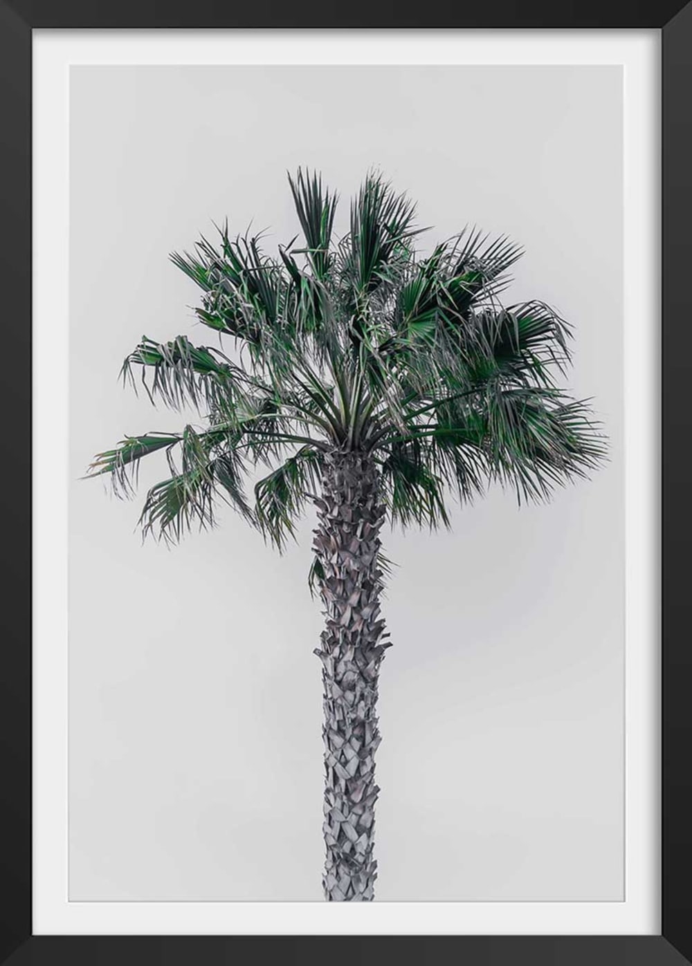 Póste de palma de coco con marco negro 60x90cm
