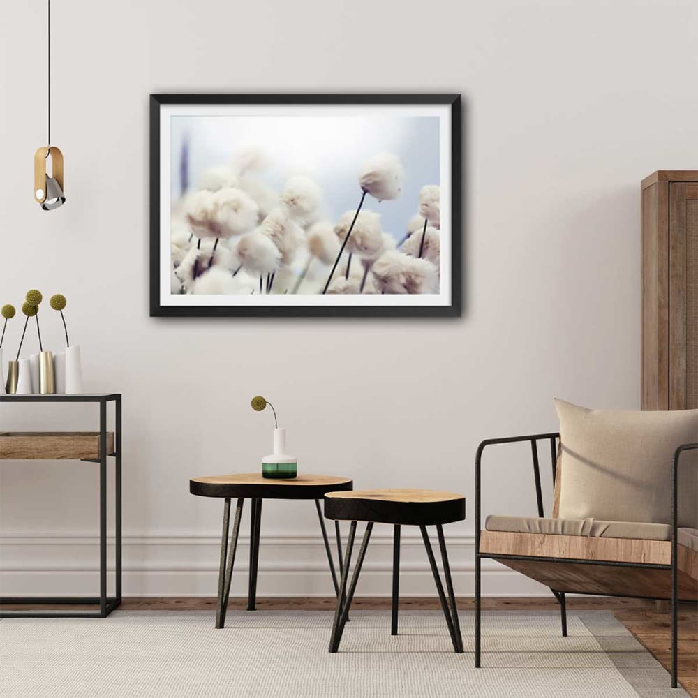 Poster fiori di cotone nel vento con marco negro 60x40cm - Hexoa