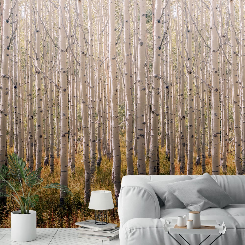 Papel pintado bosque de abedules 159x280cm