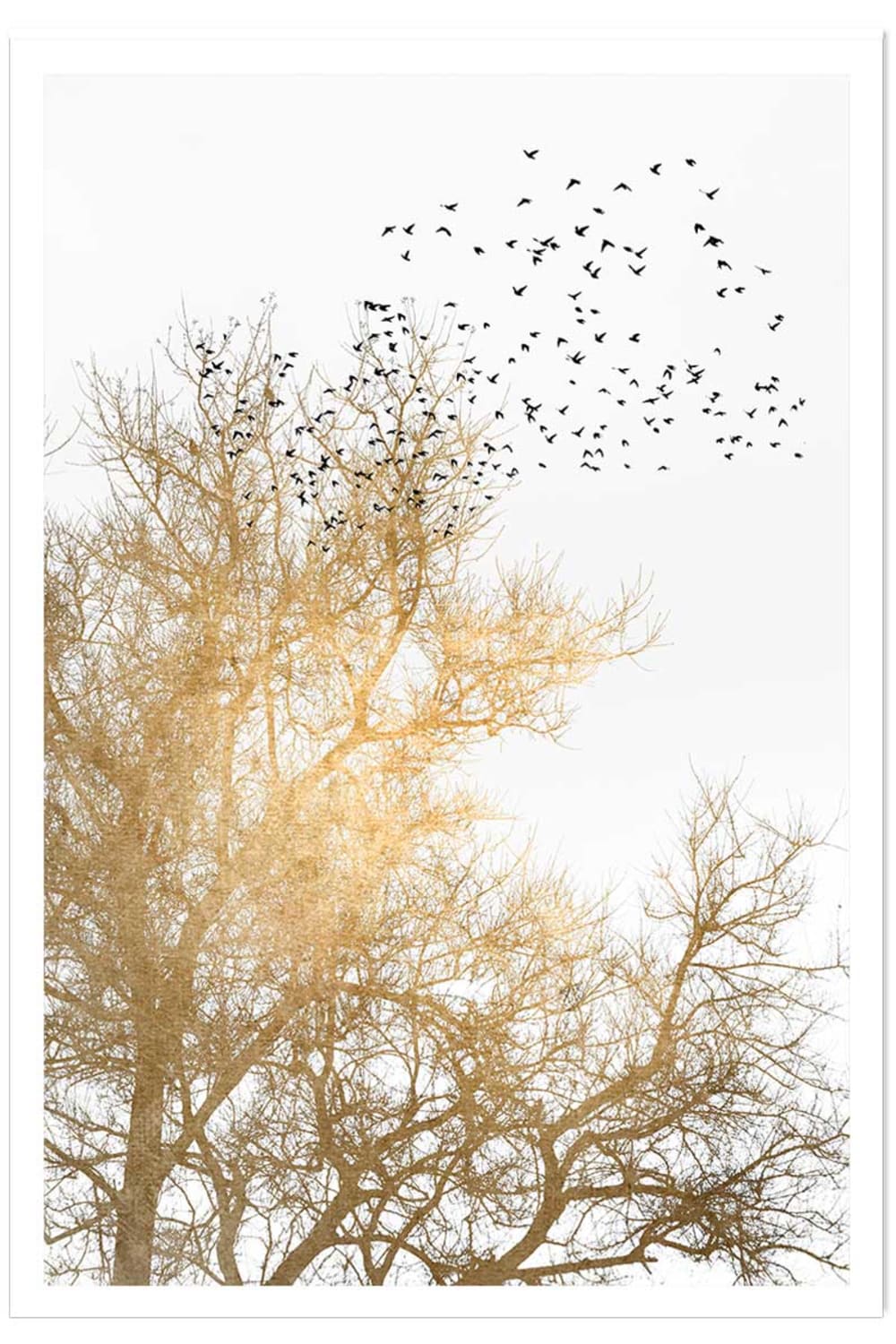 Affiche dessin ciel d'or sans cadre 60x90 cm