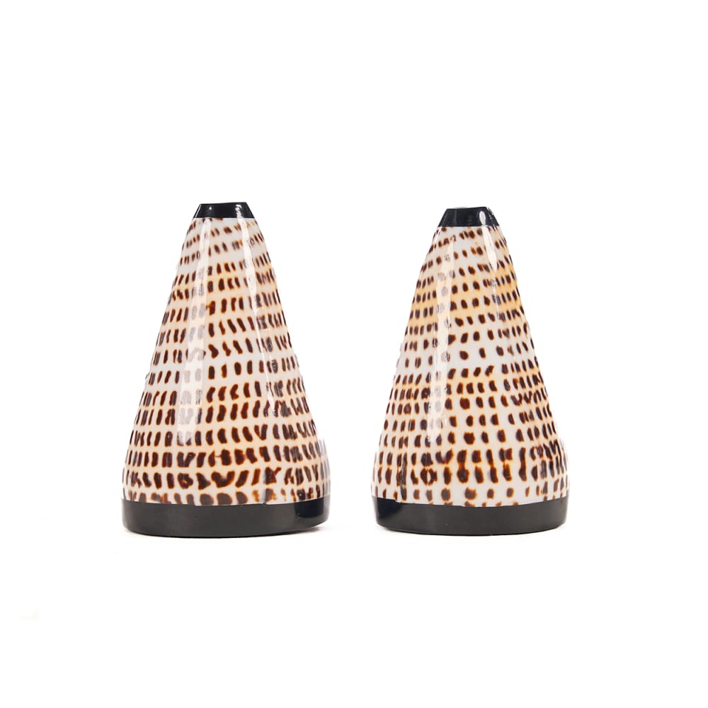 Bazar Bizar Porte-sel et poivre coquillage marron 4x2x10cm style bord de mer Beige Fibres Naturelles