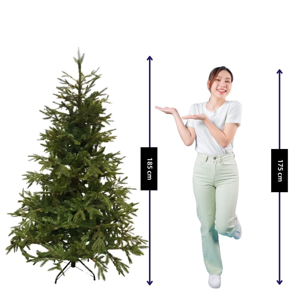 Árbol de navidad artificial frasier verde h185xb124xl124cm - Maisons du Monde