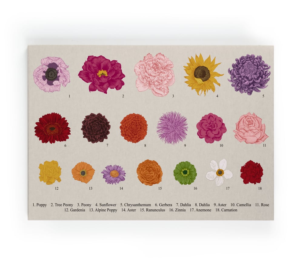 Surdic Leinwand 60x40 Blumen style modern Mehrfarbig Pes - Polyester