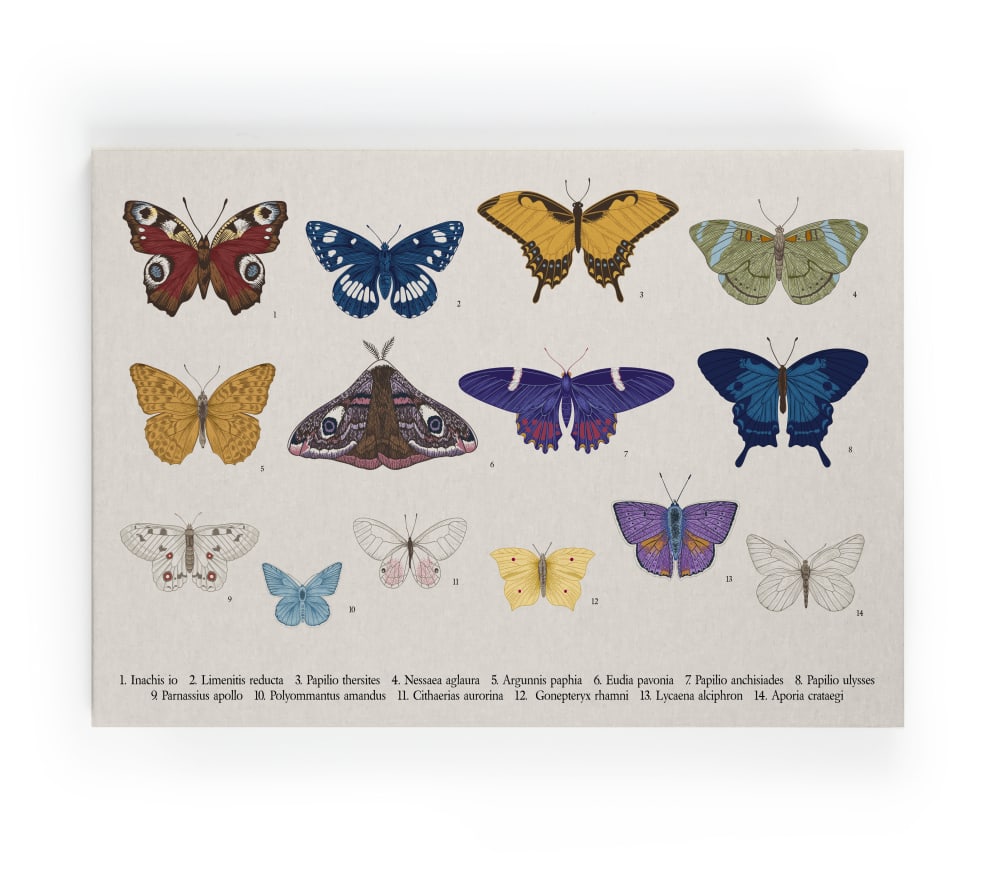 Surdic Peinture sur toile 60x40 imprimé HD papillons de couleur style contemporain Multicolore Pes - Polyester