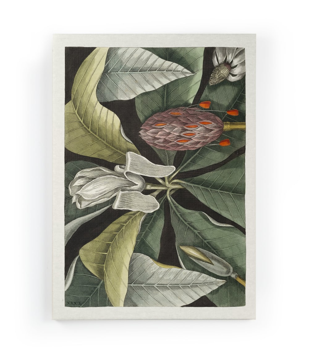 Tela 60x40 stampa albero ombrello - Modello Contemporaneo - Multicolore - PES - Poliestere