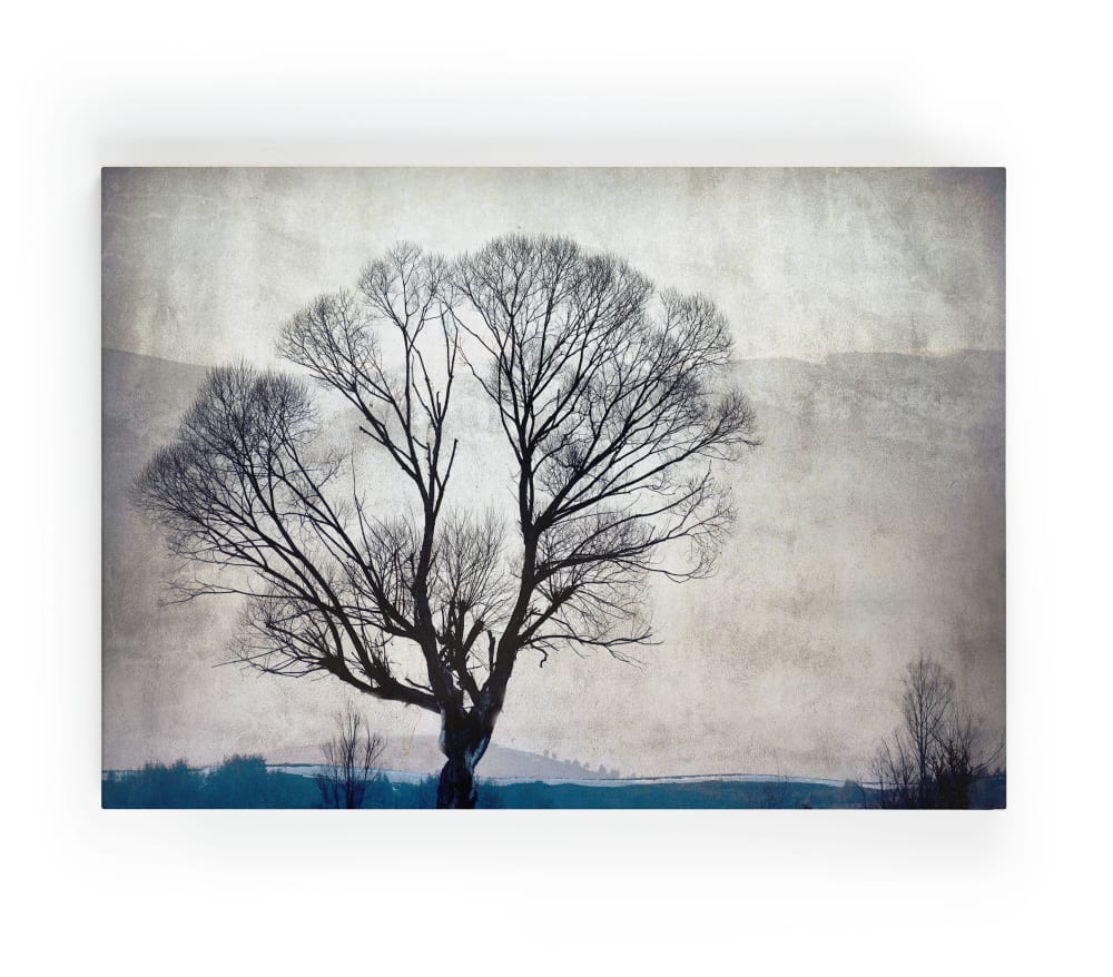 Lienzo 60x40 impresión arból