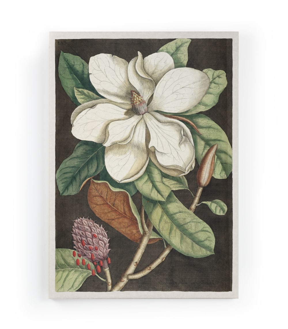 Surdic Peinture sur toile 60x40 imprimé HD magnolia style contemporain Multicolore Pes - Polyester