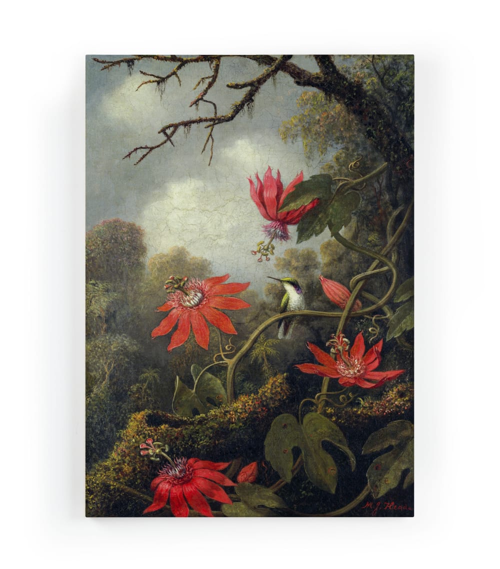 Lienzo 60x40 impresión flor de la pasión