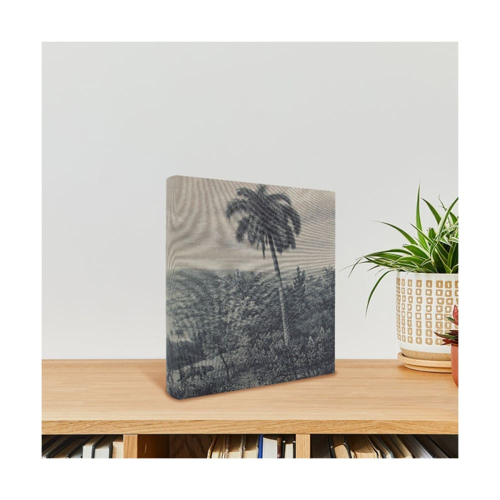 Album Photo traditionnel palmier 600 photos 10x15 cm