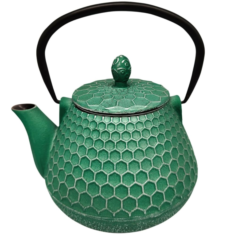 Signes Grimalt Théière de type japonaise verte en fonte 1 litre
