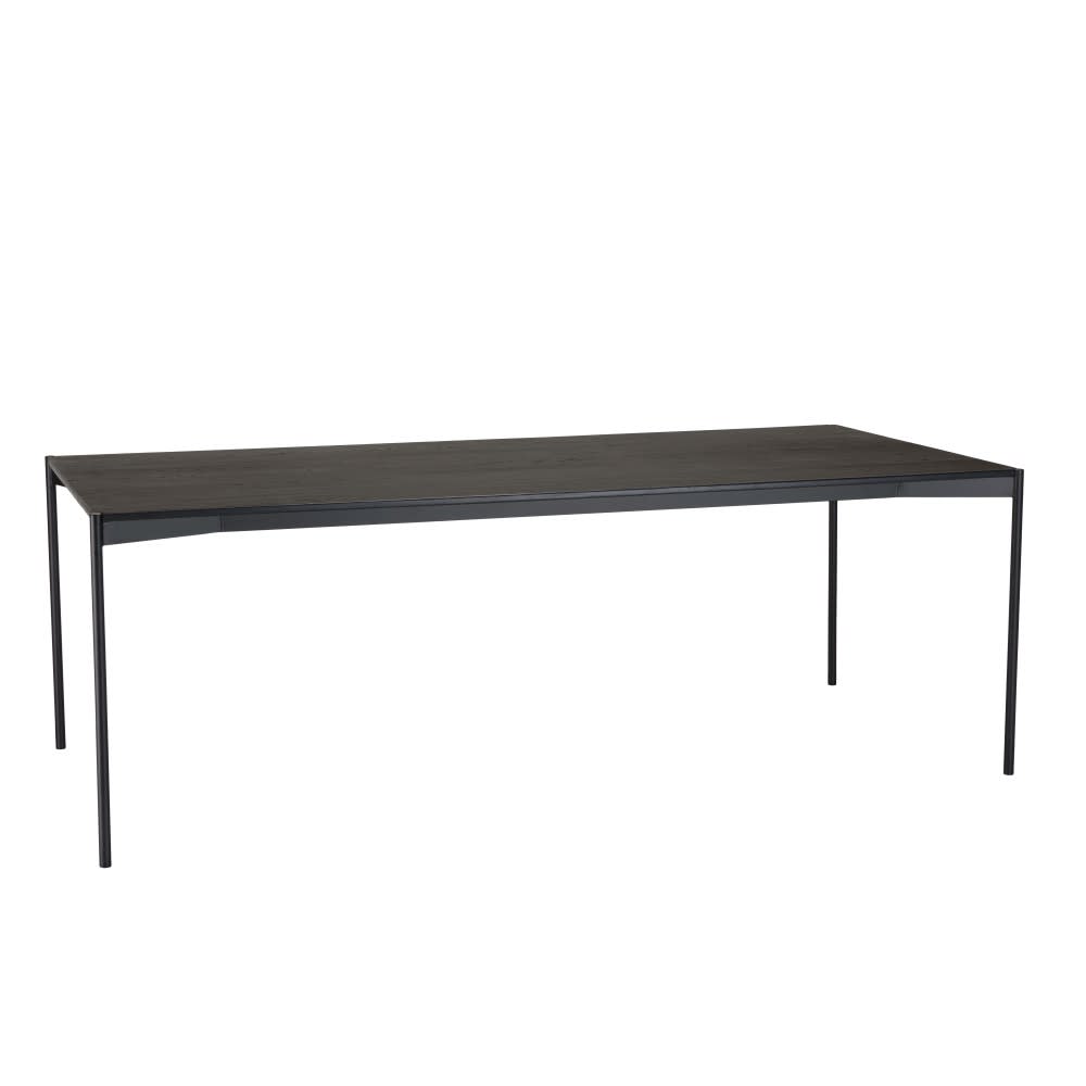 Rechteckiger Esstisch mit Metallgestell, 220x100cm, schwarz -
