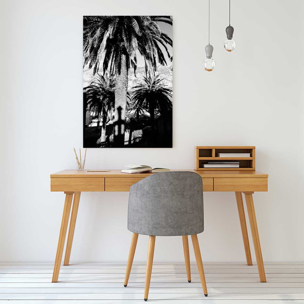 Quadro in bianco e nero palme montenegro stampa su tela 60x90cm -