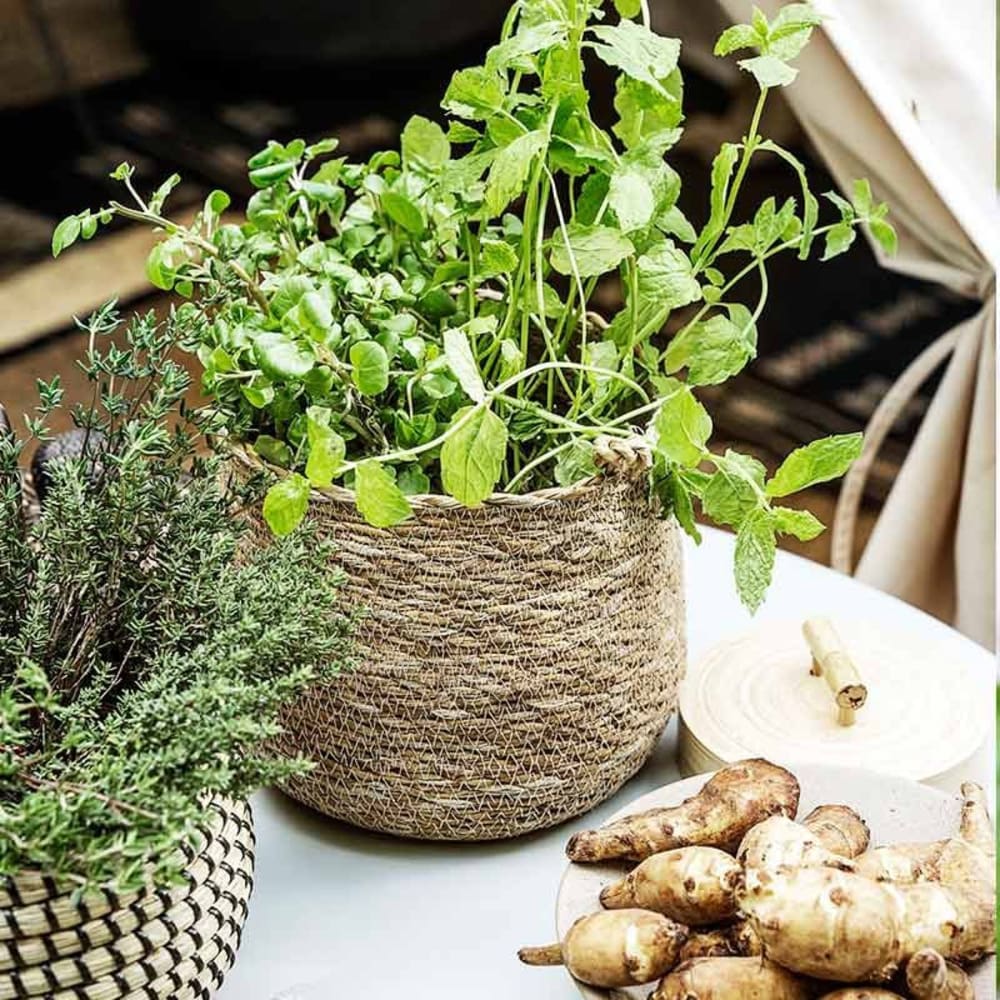 Panier hang nature - Maisons du Monde