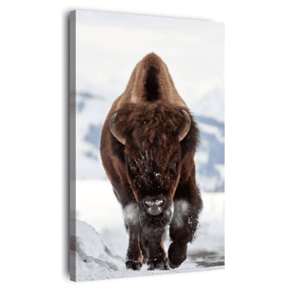 Tableau+sur+toile+bison+45x65