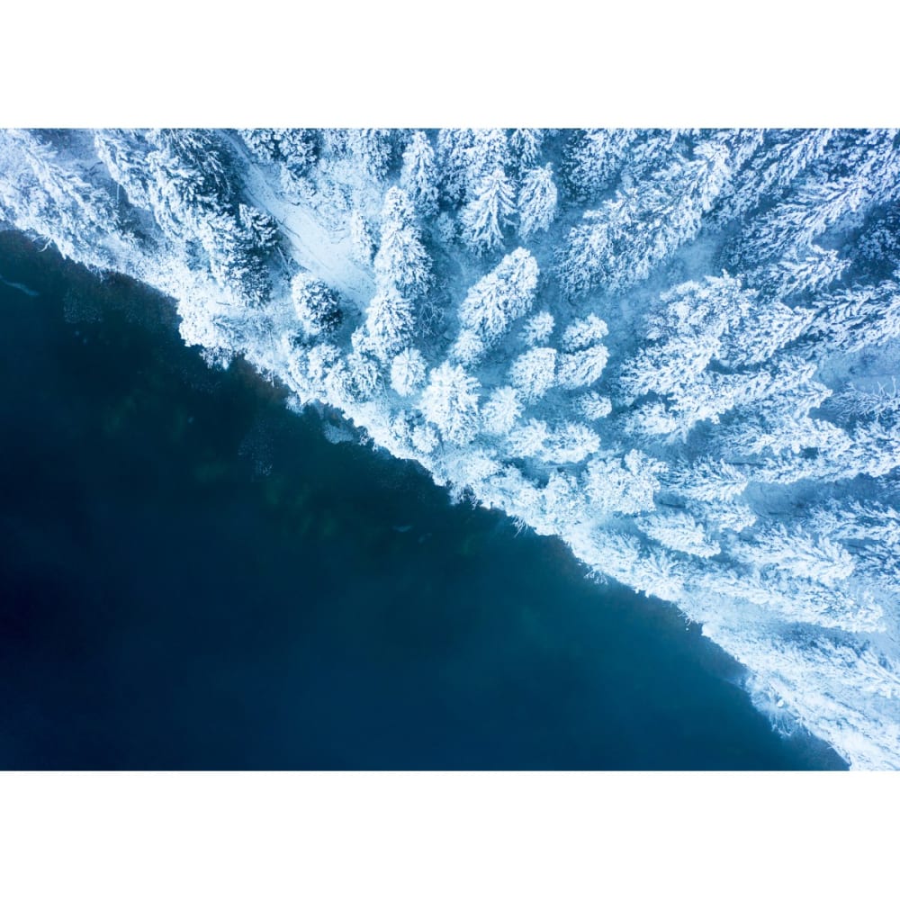 Tableau+sur+toile+art+et+nature+30x45