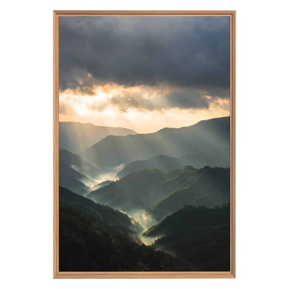 Tableau mural encadré vue de la nature 65x97