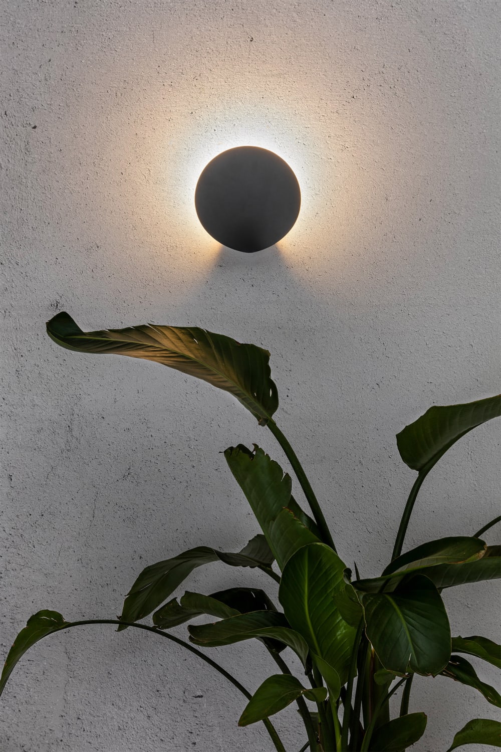 LOTUS-Luce LED da esterno Alluminio Ø22cm - FARO BARCELONA