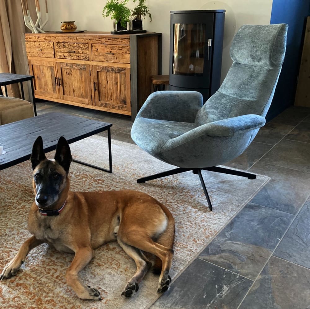 Fauteuil rotatif en velours argenté