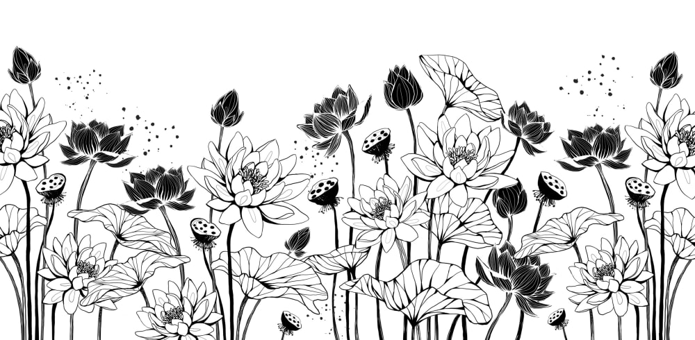 Papier peint panoramique Nympheas, Noir et blanc 255 x 250cm