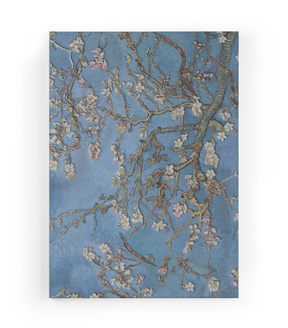 Tela 60x40 stampa Mandorla - Modello Contemporaneo - Multicolore - PES - Poliestere