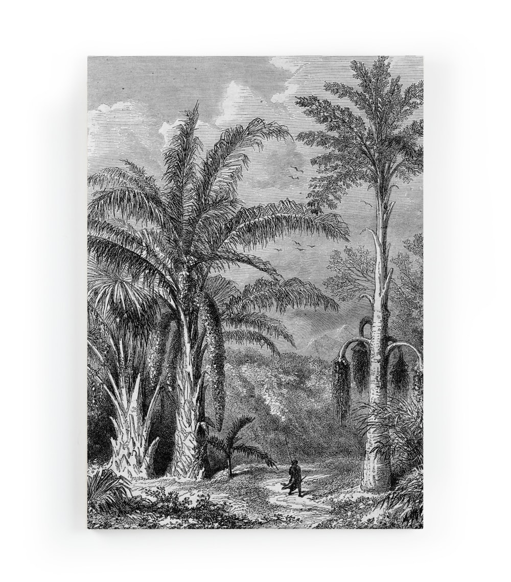 Surdic Peinture sur toile 60x40 imprimé HD Promenande dans la jungle style contemporain Multicolore Pes - Polyester