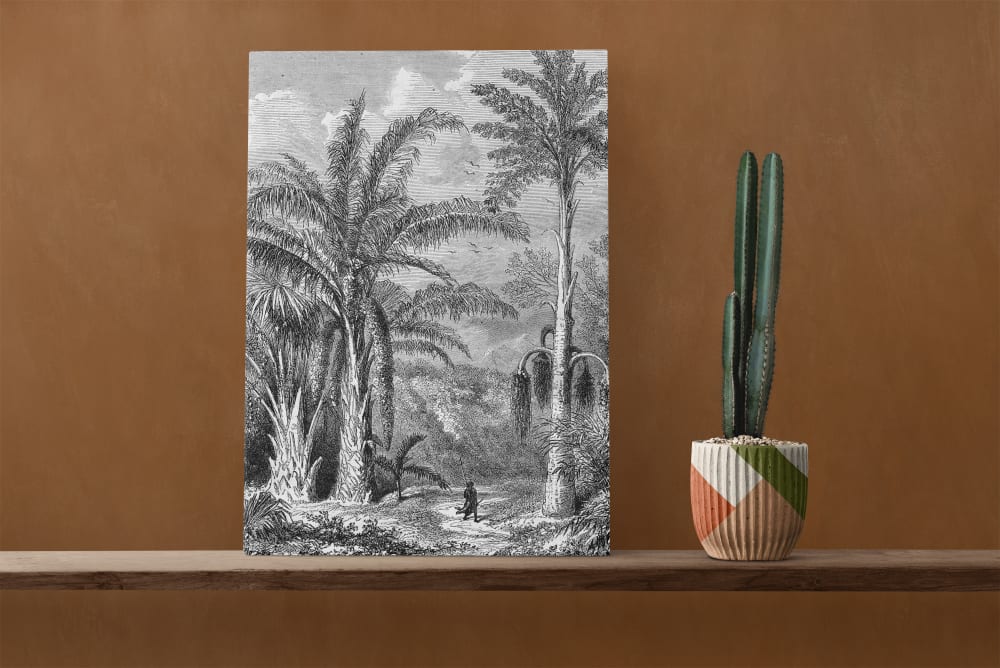 Peinture sur toile 60x40 imprimé HD Promenande dans la jungle - Maisons du Monde