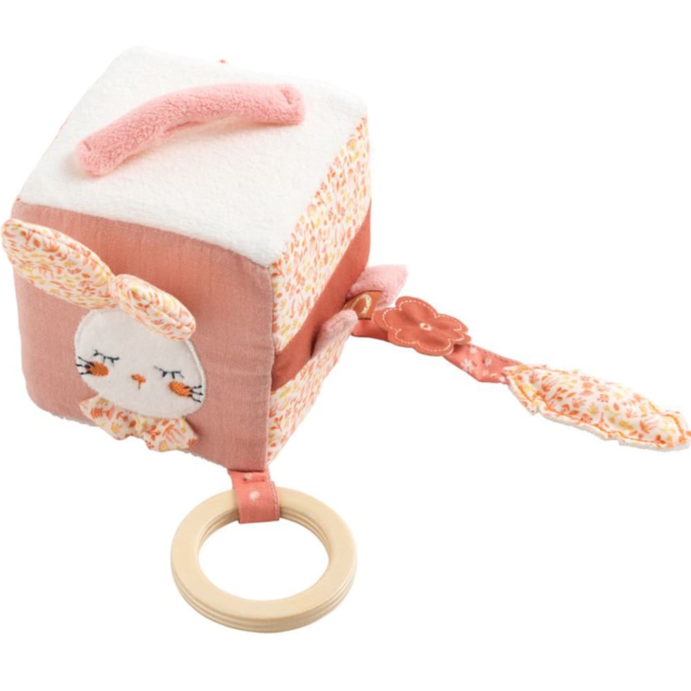 Cube d'activités lapin ESMEE