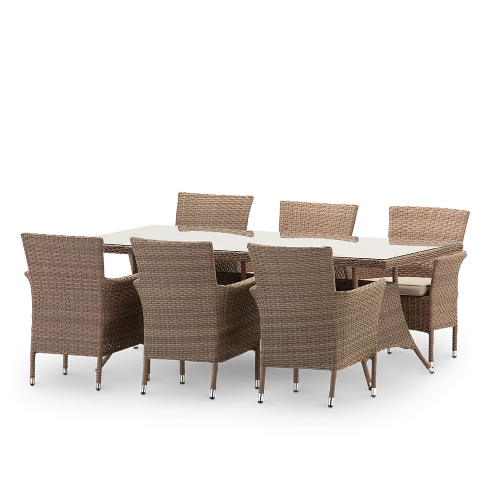Ensemble de jardin table 200x100 et 6 chaises