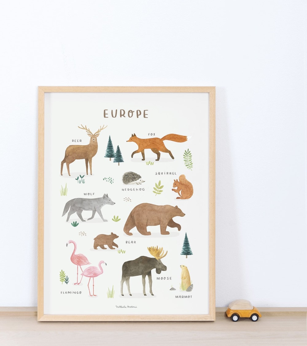 Affiche Animaux d'Europe (30 x 40 cm) (Lilipinso) - Image 3
