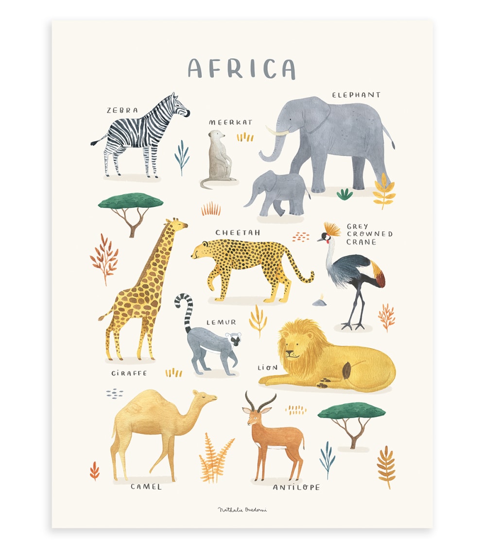 Affiche Animaux d'Afrique 30 x 40 cm (Lilipinso) - Couverture