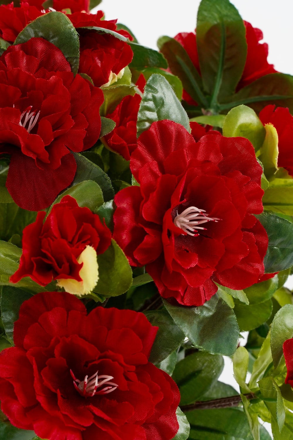Plante artificielle rouge polyester h31xl26xl26cm — vue 4