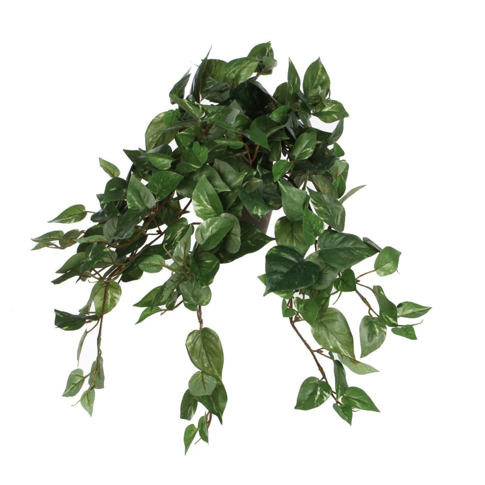 Pianta artificiale scindapsus hanging verde h25xb25xl45cm - Modello Esotico - Verde - PES - Poliestere