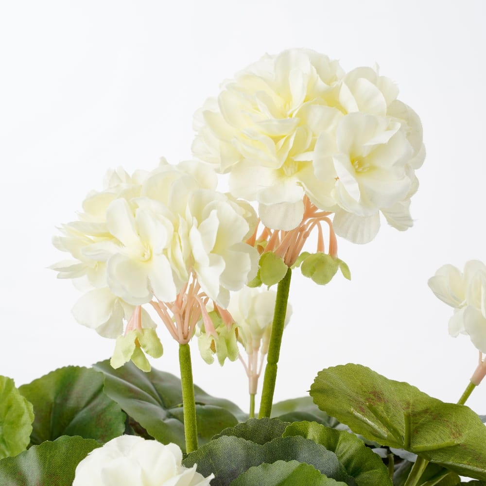 Géranium artificielle crème en pot H34 — Beyit