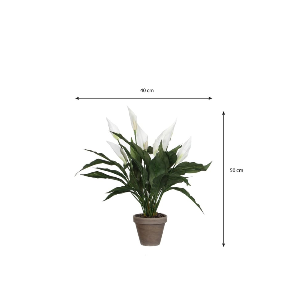 Kunstpflanze Spathiphyllum Weiß Polyester H50xB40xL40cm - Maisons