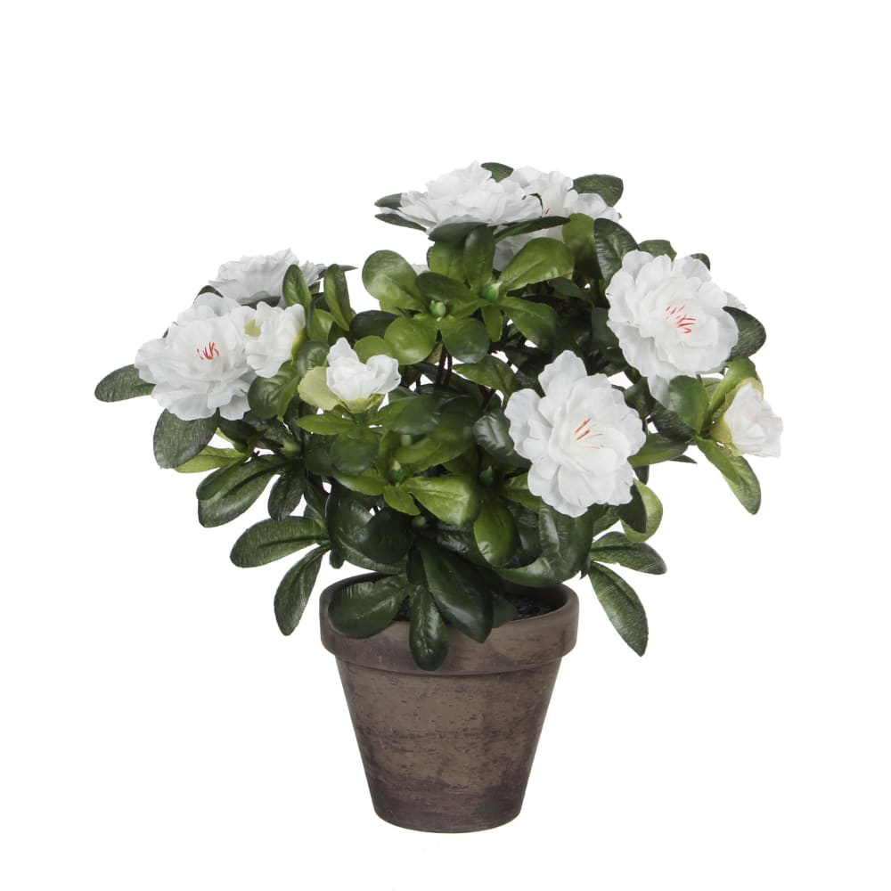Azalea plante artificielle blanc en pot H27 — Beyit