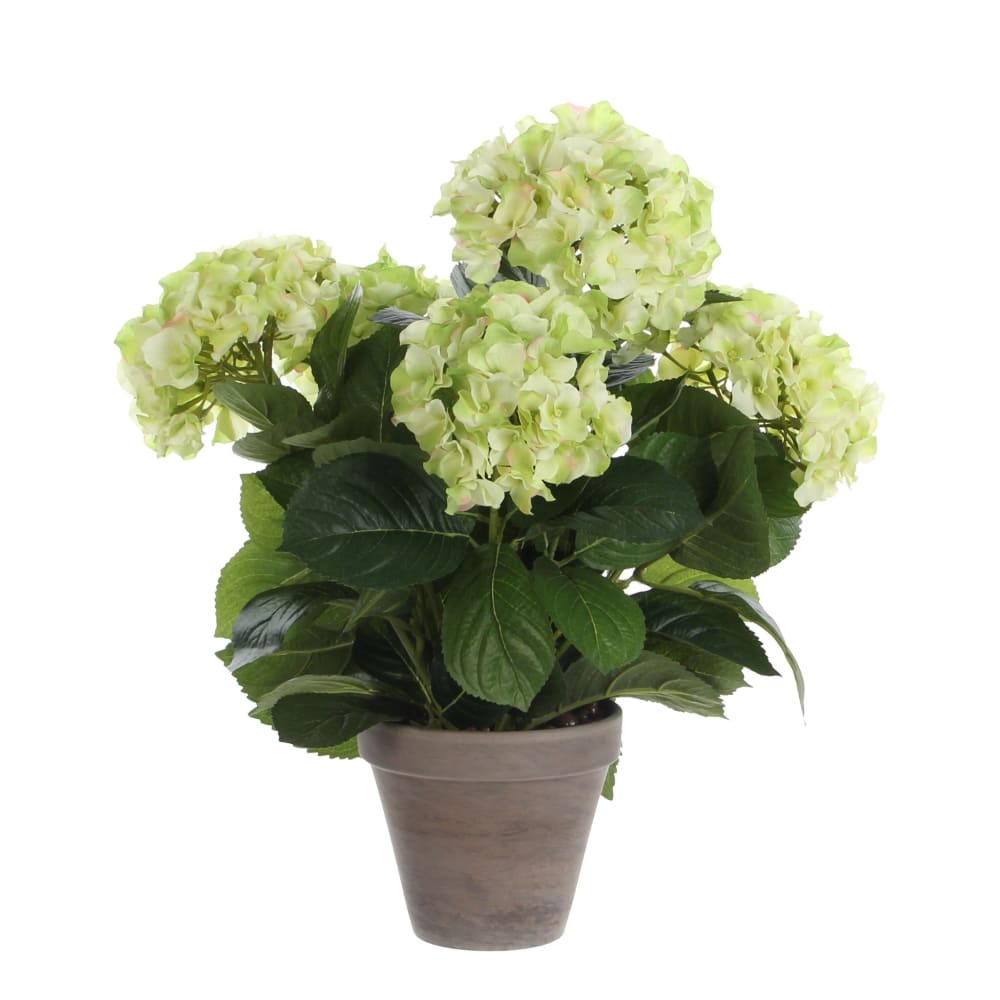 plante artificielle crème