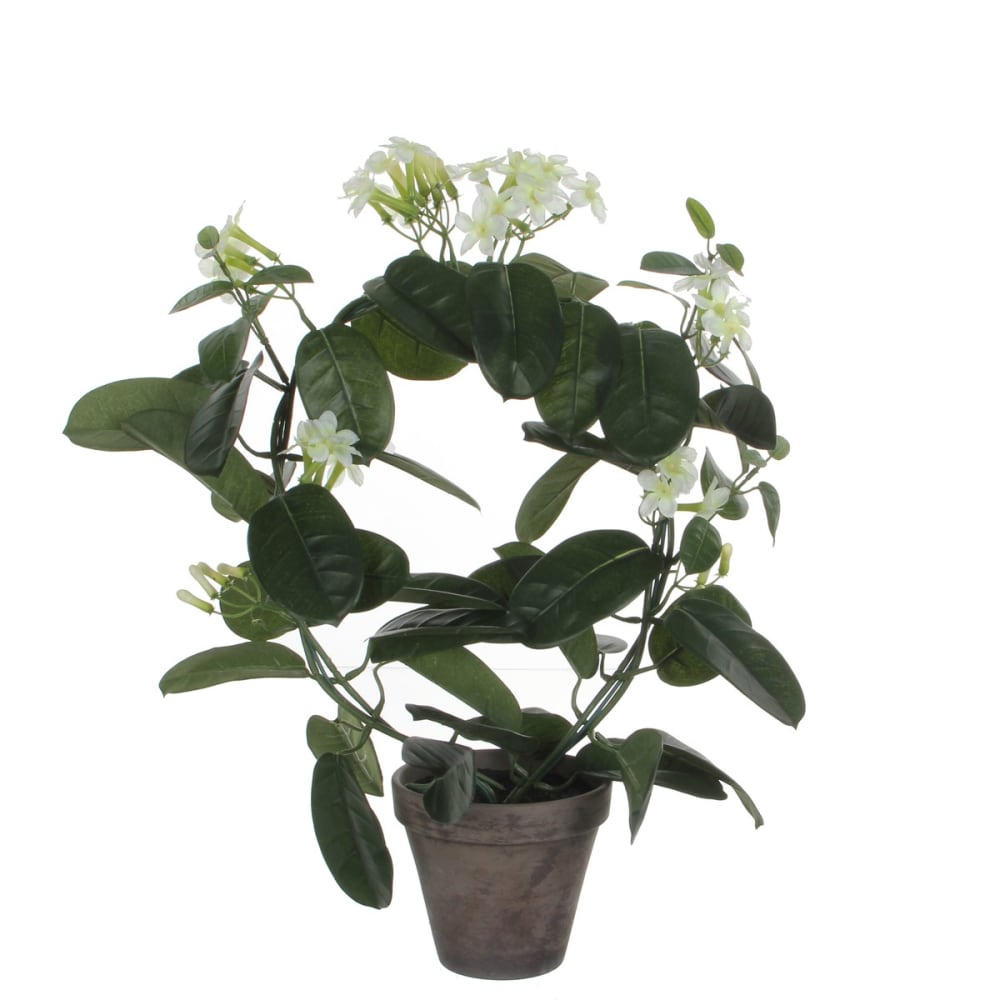 Pianta artificiale stephanotis bianco h50xb40xl40cm - Modello Esotico - Bianco - PES - Poliestere
