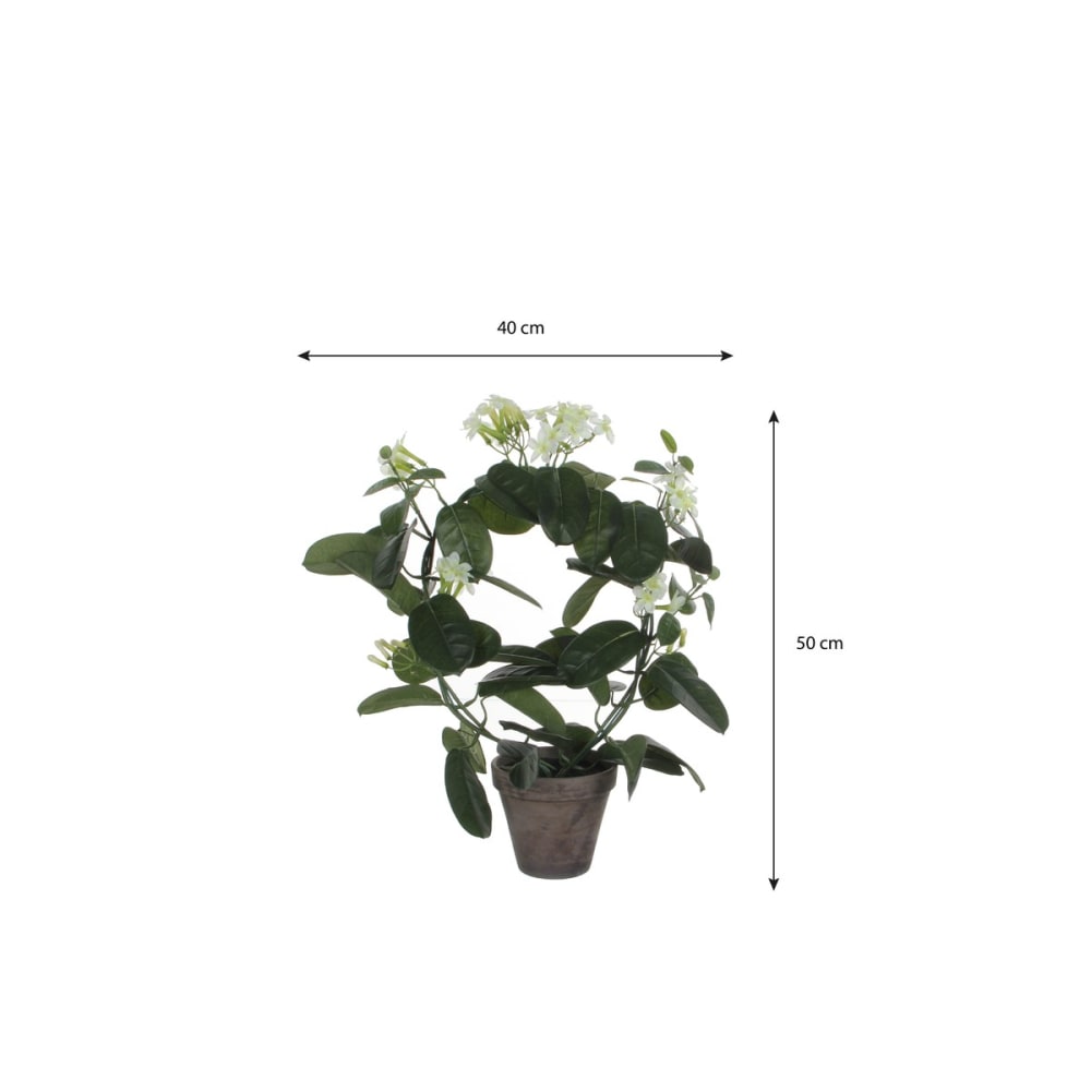 Planta artificial stephanotis blanco h50xb40xl40cm - Maisons du Monde