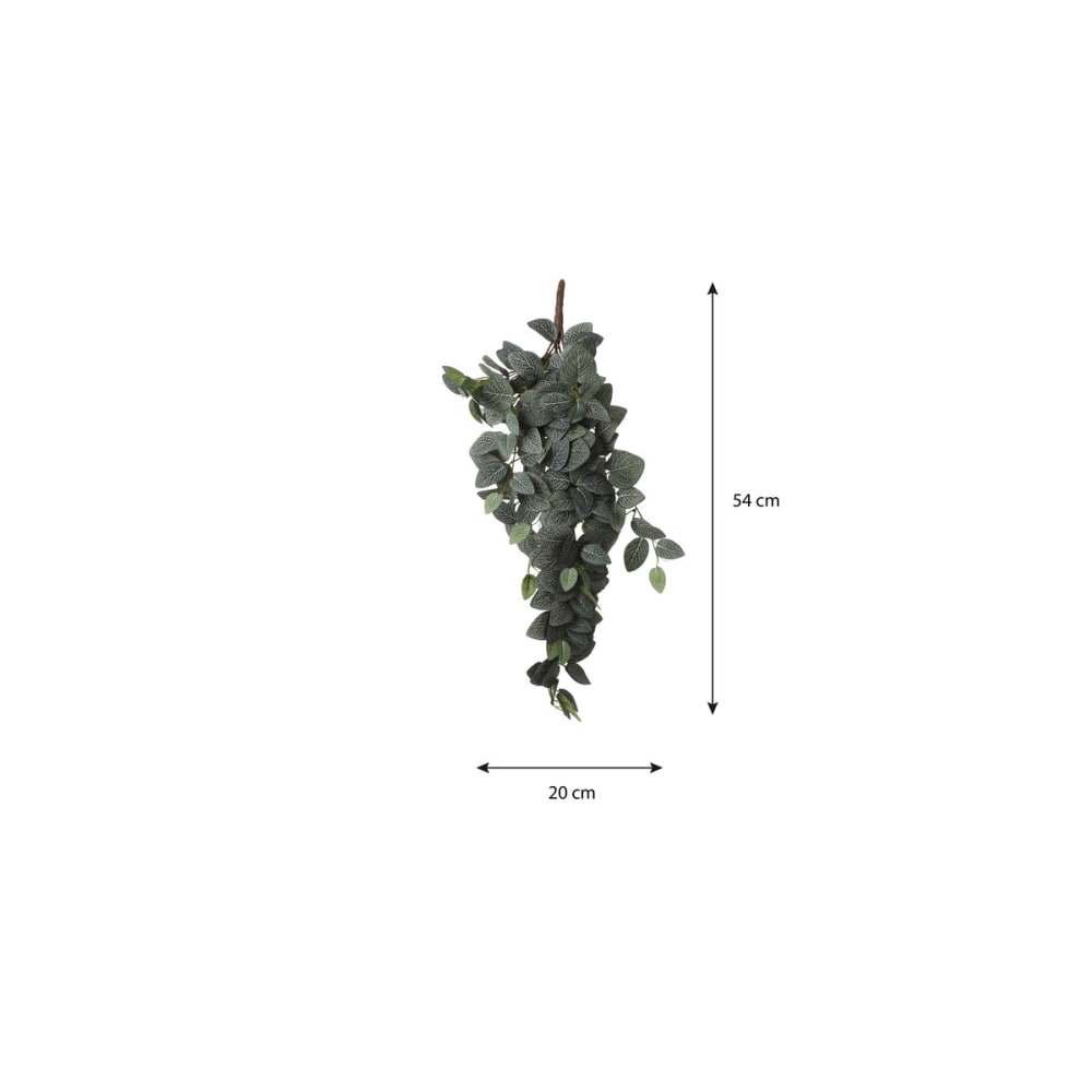 Planta artificial fittonia verde h54xb15xl20cm - Maisons du Monde