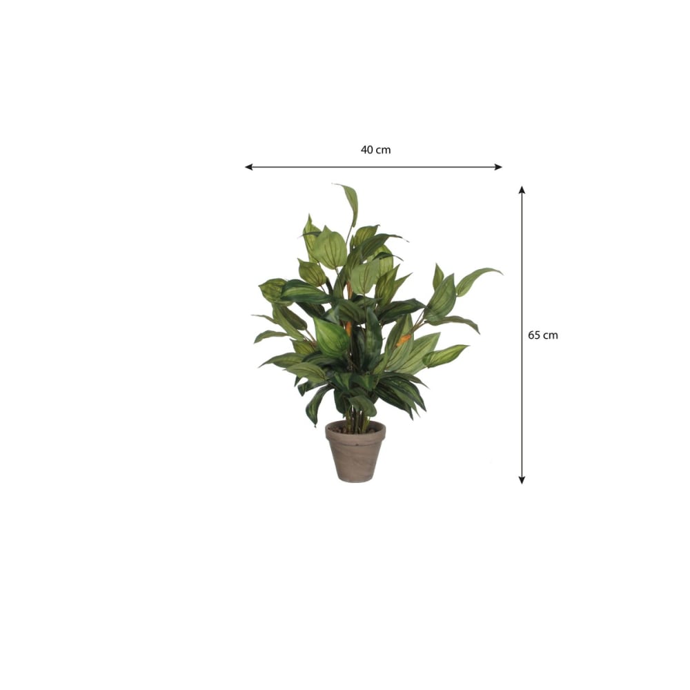 Kunstpflanze Hosta Grün Polyester H65xB40xL40cm - Maisons Du