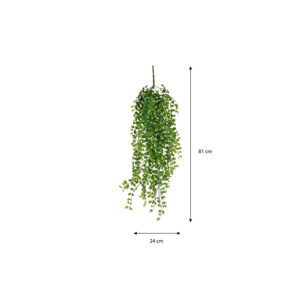 Planta artificial ficus verde h81xb10xl24cm - Maisons du Monde