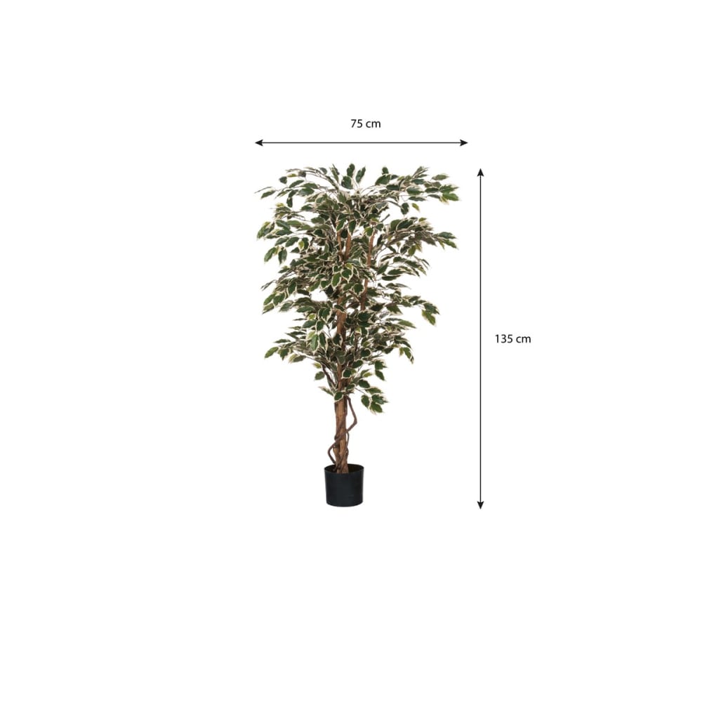 Pianta artificiale ficus verde h150xb75xl75cm - Mica Decorations