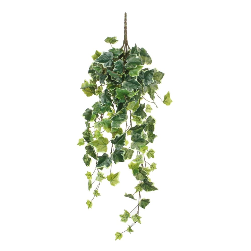 Pianta artificiale ivy verde h71xb15xl20cm - Modello Esotico - Verde - PES - Poliestere