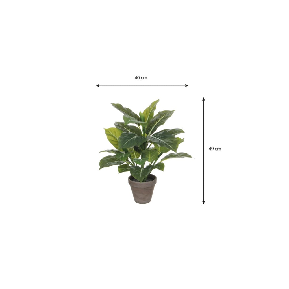 Planta artificial evergreen verde h49xb40xl40cm - Maisons du Monde