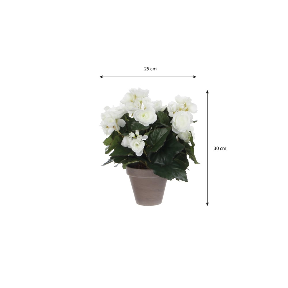 Planta artificial begonia blanco h30xb25xl25cm - Maisons du Monde