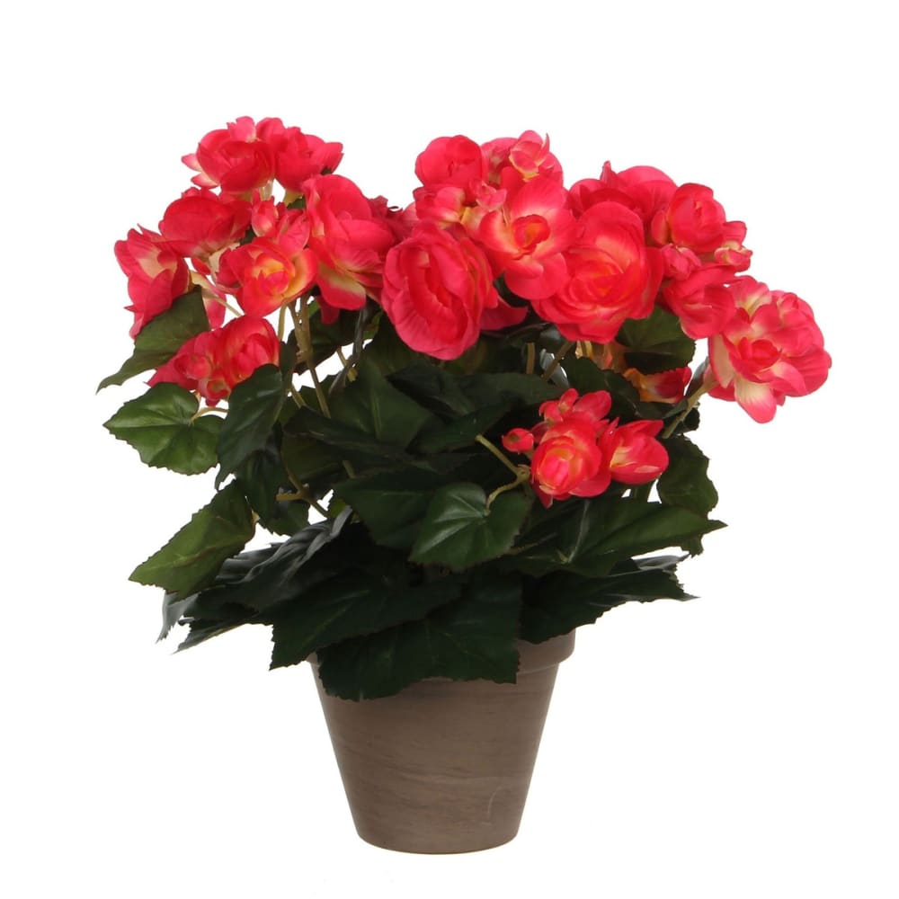 Planta artificial begonia rosa oscuro h30xb25xl25cm
