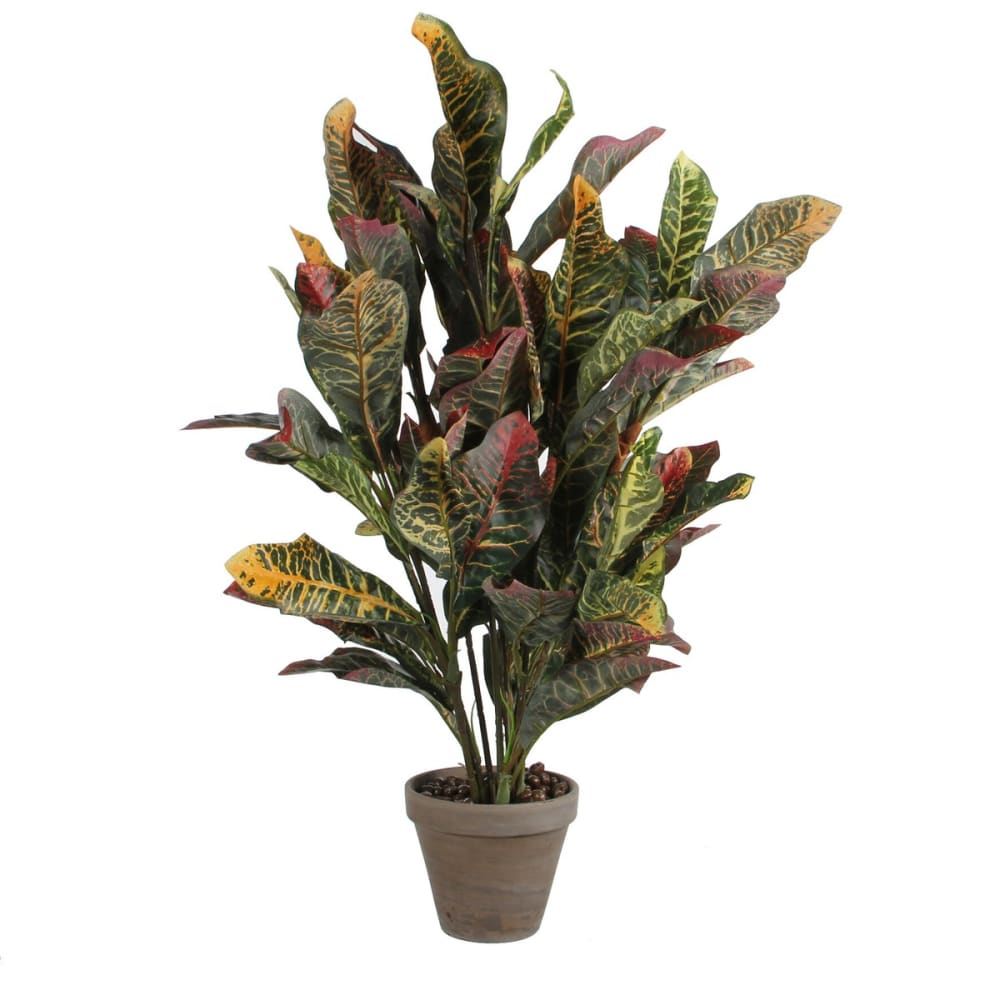 Planta artificial croton verde h73xb40xl40cm - Maisons du Monde